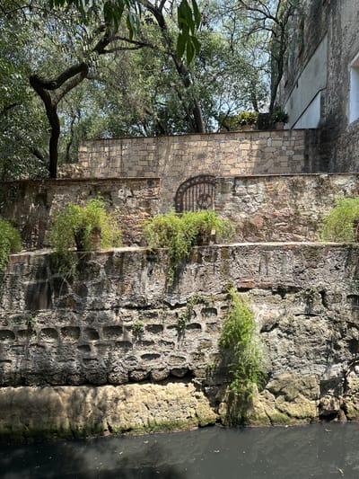 The image shows a section of the San Juan Canal in Tlalnepantla, Mexico. The view is perpendicular to the canal, focusing on the stone and brick walls that form its bank. The walls are weathered and show signs of age and water damage, with varying textures and coloration. Vegetation, including ferns and other small plants, grows from the wall crevices. A wrought iron gate is visible. A mature tree with dense foliage partially obscures the view of the walls and the buildings in the background. The water in the canal is dark and reflective. The scene is cast in natural light with a mix of direct sunlight and shadows. There are no people visible in the image.