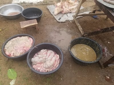 The scene is an outdoor area in Pati Ridge, Nigeria, located at latitude 7.81 and longitude 6.704. There are several black plastic basins filled with animal innards and a brown liquid, likely water or wastewater. The innards appear to be pig intestines. There is a small wooden stool and a large metal bowl on the ground. In the background, there is a wooden table, a metal bowl, and a pile of pig carcasses laid out on a piece of white material. There is a knife on the material. There is an unknown object in the lower right corner of the image, along with a splatter of blood. The ground is dirt and the overall environment appears to be wet and muddy. There are no people visible in the image. The scene appears to be part of a butchering process.