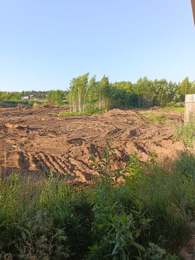 An outdoor, eye-level, medium shot captures a cleared, muddy construction site in Strelka, Russia. The foreground is dominated by tall, green grass and a few scattered plants. The midground features the disturbed earth of the construction site, marked with tire tracks and debris. In the background, a line of trees separates the construction site from a clear, blue sky. To the left, distant structures and a metal bridge are visible, hinting at the area's industrial or infrastructural elements. A wooden fence post is visible on the far right of the image. The scene is illuminated by natural daylight, suggesting it is daytime.
