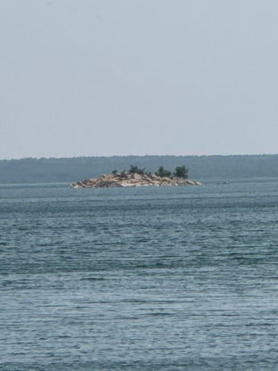 The image shows a small, rocky island in the middle of a body of water. The island is covered in sparse vegetation, primarily small trees. In the background, a distant shoreline with a dense line of trees is visible. The sky is overcast and a pale blue-gray. The water is calm and appears to be a deep blue-green. The overall scene is serene and natural. There are no people or man-made structures visible in the image. The location is identified as Ayyrtau, Kazakhstan.