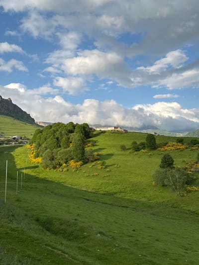 The image depicts a rural landscape in Nizhnyaya Mara, Russia, under a bright blue sky dotted with fluffy white clouds. The foreground features a lush, rolling green meadow with a pronounced shadow cast by unseen trees. A series of white poles, likely part of a fence or utility line, are spaced evenly across the meadow, leading the eye towards the midground.
In the midground, a dense cluster of green trees dominates the scene, interspersed with patches of vibrant yellow flowering bushes. Further back, the land continues to undulate, with more scattered trees and yellow flora. A few buildings, appearing to be farmhouses or small dwellings, are visible nestled on the higher ground amongst the trees. In the distance, a rugged, rocky mountain range forms the backdrop, with some of the peaks softened by a light haze. The overall impression is one of a serene and picturesque natural environment.