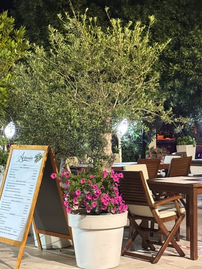 This media file showcases an outdoor dining area at dusk, possibly in a Mediterranean setting given the presence of olive trees and a general ambiance. The scene is set with wooden tables and chairs, suggesting a restaurant or cafe. A large potted plant with vibrant pink flowers sits prominently in the foreground, adding a touch of color and life.
The primary subject is the setting itself, focusing on the outdoor seating arrangement and lush greenery. There are no visible people in the frame. The time of day is evident from the artificial lighting illuminating the scene, casting a warm glow on the foliage and furniture.
A key object is a menu displayed on a stand, providing textual information about the establishment. The visible text includes headings like "MENU," "FISH & SEAFOOD," "MEAT SELECTION," "FOCACCIA," "PASTA & RISOTTO," "DESSERTS," and "CHEF'S SPECIAL," along with prices in Euros and item names. One of the headings appears to be "Ambassador," possibly the name of the restaurant.
The overall mood is inviting and tranquil, characteristic of an evening spent dining outdoors. The dark foliage contrasts with the illuminated areas, creating depth and highlighting the natural elements. The location context points to Medinski Krš, Montenegro, which aligns with the Mediterranean aesthetic.