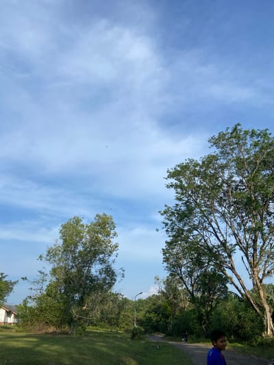 The image captures an outdoor scene with a wide expanse of blue sky with scattered white clouds. In the foreground, a dirt road curves through a grassy area with various trees and dense green foliage. To the left, a building with a white exterior and brown trim is partially visible. A young person wearing a blue shirt is on the right side of the road, looking away from the camera. Further down the road, two figures are walking away from the viewer. The overall setting suggests a rural or semi-rural environment, possibly in Gudang Batu, Indonesia, given the tropical vegetation and building style. The lighting indicates it is daytime.