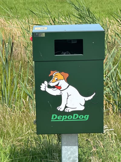 This is a vertical, eye-level medium shot of a green dog waste bin in Ossenzijl, Netherlands. The bin is decorated with a cartoon image of a white dog with brown ears and markings, with its tongue sticking out. The text "DepoDog" is printed vertically in green on the right side of the bin. The bin has a rectangular opening on the front, through which a black trash bag is visible. A metal post is partially visible on the right side of the bin. The bin is situated in a grassy, outdoor setting with tall reeds and grasses surrounding it, suggesting a park or a natural area. The lighting indicates it is daytime, likely sunny. The image is slightly tilted, as if captured while walking.