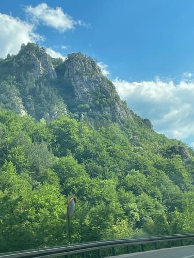 This is a sideways, eye-level shot of a lush, green mountainside with a rocky cliff face to the left. The sky above is a vibrant blue, dotted with fluffy white clouds. The mountain is densely covered with trees, their leaves a rich green, suggesting a warm, sunny day. There appears to be a smooth, grey, oval object with a reddish tip protruding from the greenery on the right side of the frame, possibly a decorative element or part of a structure. The overall impression is one of natural beauty and tranquility. The image is taken from what appears to be inside a vehicle, with a reflective surface on the right edge of the frame and dark vertical lines that could be part of a window frame or a vehicle's interior. The scene evokes a sense of travel and exploration through a scenic, mountainous region.