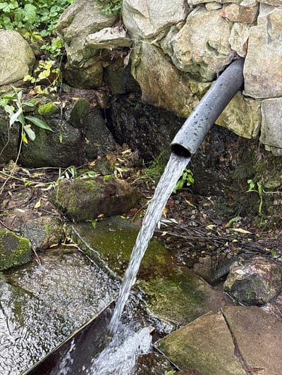 A metal pipe emerges from a stone wall and discharges a stream of water into a small, rocky pool. The water flow creates ripples and splashes as it hits the surface. The environment is natural and appears to be outdoors, with rocks, moss, and vegetation surrounding the water source. The scene is dimly lit, suggesting an overcast day or a shaded area. There are no people or animals visible in the image. The location is identified as Novopodkletnoe, Russia.
