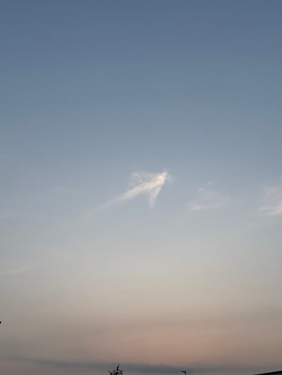 The image shows a pale blue sky with a gradient towards a soft pinkish hue near the horizon, indicative of either dawn or dusk. A wispy, elongated cloud formation, resembling an arrow or a bird in flight, is visible in the upper central portion of the sky. In the lower section of the image, a dark, silhouetted line suggests the presence of distant buildings or structures. There are also faint silhouettes of trees and a streetlight in the bottom corners. The overall scene is peaceful and serene, with no people or discernible actions. The location is identified as Mejaniga, Italy.