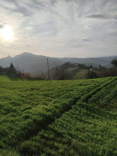 The image displays a rural landscape within the vicinity of Villa di Gemmano, Italy, under a partially cloudy sky. The foreground features a vibrant green field of low-cut grass, with two distinct, less vegetated tracks traversing it from the lower right towards the center. In the midground, rolling hills are visible, partially covered with deciduous trees lacking foliage. A single wooden utility pole with overhead power lines stands prominently, extending from the lower mid-left towards the upper left horizon. To the right of the pole, a cluster of buildings indicative of a small village or hamlet is situated on a distant hill, with a church featuring a dark roof and a bell tower discernible further right. In the far background, on the crest of a prominent hill to the left, the silhouette of a fortified structure or castle is evident. The sky, occupying the upper portion of the frame, shows scattered light grey and white clouds, with the sun positioned in the upper left quadrant, emitting a bright glow and casting soft illumination across the scene. No individuals or active interactions are observed.
