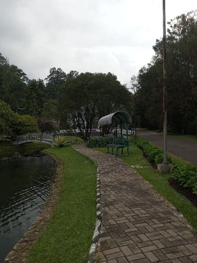 This image depicts a public park area in Ambositra, Madagascar. The scene is dominated by a dark body of water on the left, exhibiting slight surface ripples and bordered by a strip of green grass and a low stone edge. A curved pedestrian walkway, constructed from grey brick pavers in a herringbone pattern, runs from the lower right towards the center-left. To the immediate right of this walkway, a green metal shelter with a corrugated arched roof and an integrated green metal bench is positioned amidst flowering plants, some with purple blossoms.

Further left, a white arched bridge with balustrades spans the water. In the foreground along the right side of the walkway, a strip of manicured grass transitions into a bed of low-lying green foliage. A tall, dark, weathered pole, anchored by a concrete base, stands vertically on the far right. Beyond this pole, a dark paved road or path is visible, with a faint, distant silhouette of a single person operating a two-wheeled motorized vehicle. The background is characterized by dense, dark green trees and lush foliage, ascending a hillside under an overcast, light grey sky. No other individuals or specific interactions are clearly discernible.