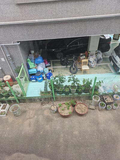 The image depicts an outdoor scene in Jincheon-eup, South Korea, likely in a residential or communal area. The setting appears to be an alleyway or courtyard with a building on the left and a paved ground surface. The time of day is not explicitly indicated, but the lighting suggests it could be daytime.
Dominant subjects include a variety of objects. On the left, there is a portion of a building with a textured, speckled grey facade, and a white pipe running vertically along it. Adjacent to this is an open garage or storage area containing a black car, bags of trash or recycling, some plastic containers, and a wooden chair. A bicycle with thick tires is also visible in this area.
The right side of the image features a green metal fence that separates a small garden area from the paved ground. Within the fenced area, there are several potted plants, including a larger pot with a plant that has visible green leaves, and smaller pots containing various plants and soil. Some of these pots are ceramic and decorative. On the paved ground near the fence, there are more planters, some made of clay and others constructed from white materials, also containing plants or soil. Several buckets, some containing dirt or debris, are scattered around the paved area.
No people are visible in the image, and there are no clear indications of specific weather conditions, though the ground appears dry. The overall impression is one of an area that serves as both a storage and a small gardening space, possibly behind a residential building. No text is clearly legible in the image.