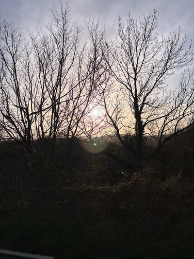 The image depicts an outdoor scene at Stiperstones, United Kingdom, under low light conditions consistent with sunrise or sunset. The sky, occupying the upper portion, presents a gradient from grey-blue at the zenith to lighter yellow-orange hues near the horizon, with visible cloud formations. The central and upper frame is dominated by multiple bare deciduous trees, their branches forming dense dark silhouettes against the bright sky. One tree, located towards the right, exhibits ivy growth on its trunk. The sun is partially obscured by branches in the lower-right sky, generating a distinct circular lens flare in the lower-mid portion of the frame. The lower half of the image consists of dark, undifferentiated ground cover, including dense dormant vegetation and shrubbery. A narrow horizontal strip of dark ground with a subtle lighter grey line is visible at the extreme bottom edge. No individuals, specific actions, or interactions are present.