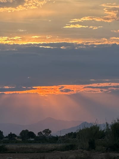 The image captures a sunset sky with distinct vertical bands of orange-lit clouds and a contrasting blue-grey expanse. To the right, a silhouette of trees and foliage indicates a landmass or edge, possibly on the outskirts of a built-up area. In the background, a faint outline of hills or mountains is visible. The photograph doesn't provide enough detail to pinpoint a precise location within Los Palacios, Spain, but suggests a view towards the horizon from a point on the periphery of the town.