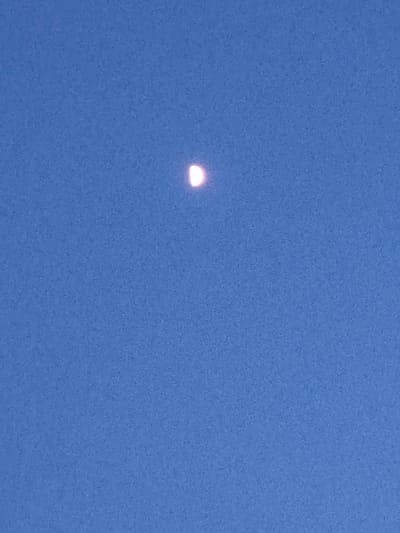 The image shows a bright, crescent-shaped object against a clear blue sky. The object is the moon, illuminated from the right and appearing as a glowing sliver. The sky is a uniform, bright blue, suggesting daytime or early evening. The image is cropped closely around the moon, with no other celestial bodies or atmospheric phenomena visible. The texture of the sky appears slightly grainy, possibly due to image compression or a camera sensor's noise. There is no discernible location context within the image itself, apart from the implied presence of the sky. The overall impression is one of a simple astronomical observation.