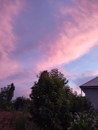The image depicts a twilight sky filled with swirling clouds painted in hues of pink and purple. Silhouetted against this vibrant sky are the dark green foliage of several trees and a portion of a building's roof. The scene appears to be set in a rural or suburban area, possibly a garden or backyard, given the presence of lush vegetation and the residential-looking building. The time of day is clearly dusk or dawn, indicated by the soft, colored light in the sky. The weather appears calm, with the clouds suggesting a clear evening or morning. The overall mood is serene and picturesque, capturing the natural beauty of the sky at the transition between day and night. No people or text are visible in the image.