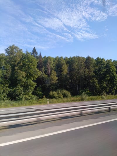 The image shows a highway with a guardrail and a forest on the right side. The sky is blue with some wispy clouds. The highway appears to be a multi-lane road, with white lines marking the lanes. The forest is dense and green, with a variety of trees. There are no people or vehicles visible in the image. The scene is well-lit, suggesting it was taken during the daytime. The image is a landscape view, captured from a moving vehicle, indicated by the motion blur in the foreground and the side of the highway. The location is identified as Myasnikovo, Russia.