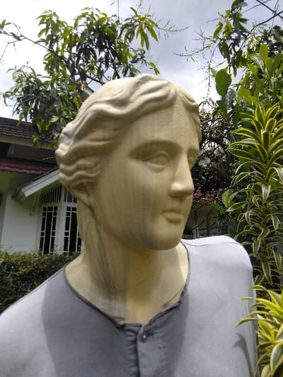 The image displays a light-colored bust statue, appearing to be crafted from stone or concrete, representing a classical female figure with wavy hair. The statue's upper torso is clad in a grey, long-sleeved shirt featuring a two-button Henley placket. This outdoor scene is located in Ba Nwet Kone, Myanmar. The background comprises dense green foliage, including large-leaved trees under an overcast sky. To the right, a plant with variegated yellow and green leaves is visible. On the left side, a portion of a white building with a red tiled roof and a multi-paned white window or door is present. No human figures or discernible actions are depicted.