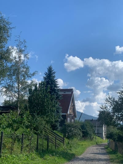 This image depicts a daytime outdoor scene in Yasinia, Ukraine, characterized by rural residential structures and natural elements. In the foreground, an unpaved gravel and dirt path leads away from the viewer, curving slightly right. To the left of the path, a black metal fence parallels a grassy, overgrown incline.

In the midground, a two-story building with dark wooden siding and a steeply pitched red-tiled roof is centrally located on the left side of the path. A large, dark green conifer tree stands immediately behind this building, and a lighter-barked deciduous tree is positioned to its left. Dense green foliage surrounds the base of the building and the adjacent trees. Further along the path, to the right and set back, a second building with light-colored walls and a dark roof is partially visible. A slender, light-colored pole extends diagonally upwards in the mid-distance, positioned between the two buildings against the background hills.

The background features undulating green mountains or large hills. The sky occupies the upper portion of the image, displaying a clear blue expanse with scattered, white cumulus clouds. No individuals, specific actions, or interactions are present in the scene.