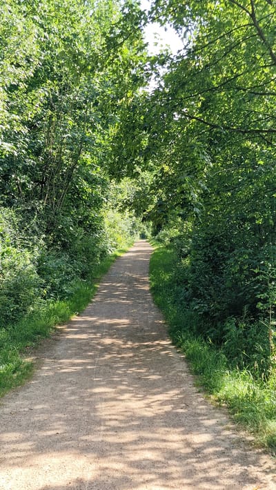 The image depicts a sun-dappled dirt path winding through a lush green landscape. Dense foliage, primarily trees and bushes, flanks the left side of the path, casting dappled shadows that stretch across the sandy ground. The path recedes into the distance, hinting at a journey or exploration. The bright sunlight filtering through the leaves suggests it is a clear, sunny day, likely during the warmer months of the year. The absence of people or man-made structures, apart from the path itself, creates a tranquil and natural atmosphere. The scene evokes a sense of peace and the simple beauty of nature. The location context of Villingen-Schwenningen, Germany, implies a European natural setting, possibly a park or a rural trail. There is no visible text in the image.