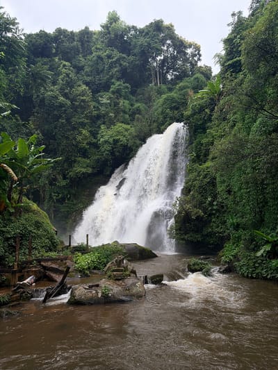 The image depicts a powerful waterfall cascading down a lush, green mountainside. The water is a milky white as it crashes into a brown, churning river below. The river is surrounded by rocks and dense vegetation, including large-leafed plants and trees. The sky is overcast, casting a soft light on the scene. The overall impression is one of natural beauty and untamed wilderness. The location is identified as Mae Klang Luang waterfall in Chom Thong District, Chiang Mai, Thailand, a popular tourist destination known for its scenic beauty and natural attractions.