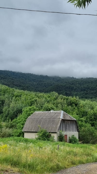 The image depicts an abandoned building nestled amongst lush green trees and tall grass. The building appears to be a barn or a small house, with a weathered grey roof and light-colored walls. It is overgrown with vines and vegetation, suggesting it has been vacant for some time. A small red door is visible on the side of the building.
To the left of the building, a dense forest covers a mountainside, with the upper parts shrouded in mist or fog, indicating a cloudy or damp day. The foreground to the right of the building is dominated by a grassy area with wildflowers, and a dirt or gravel road runs alongside it. A thin wire is visible in the upper left quadrant of the image.
The overall scene evokes a sense of solitude and perhaps melancholy, due to the abandoned nature of the building and the overcast weather. The lush greenery, however, suggests a natural beauty in the surrounding environment. The time of day is unclear due to the cloudy conditions, but it appears to be daytime. The location is identified as Vyshka, Ukraine. There is no visible text in the image.
