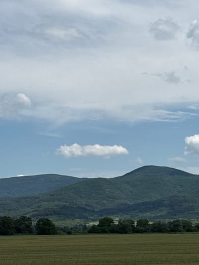 A landscape image taken in Zimnitsa, Bulgaria, depicts a rural scene under a partly cloudy sky. The upper third of the frame is dominated by a pale blue sky, transitioning from light gray, diffuse cloud cover in the upper left to a clearer blue with scattered white cumulus clouds across the center. A prominent, elongated white cloud is centered horizontally in the mid-sky. Below the horizon, two densely forested mountain ranges form the background. The mountain on the left is taller and more rounded, with a faint antenna or communication tower visible near its peak. The mountain on the right is also heavily wooded and appears slightly closer. A dark green line of trees marks the transition between the mountains and the foreground. The bottom third of the image features a flat, uniform field of light green crops, likely wheat or barley, stretching across the frame. The field shows subtle textures consistent with agricultural cultivation. No people, animals, or man-made structures other than the distant antenna are visible. The lighting is natural daylight, suggesting a mild, possibly overcast day.