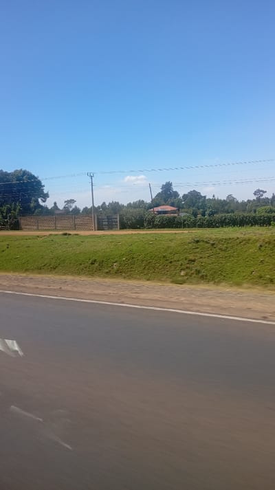 A roadside view under a clear blue sky features a stretch of asphalt in the foreground. Adjacent to the road, a grassy embankment leads up to a property enclosed by a brick wall and gate. Behind the enclosure, a landscape of trees and vegetation obscures much of a building with a reddish roof. Utility poles and wires run parallel to the road, cutting across the sky.