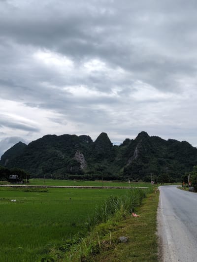 The image shows a rural landscape in Tân Thanh Commune, Vietnam, under a cloudy sky. In the foreground, a paved road curves to the right, bordered by a grassy verge with some green plants and a piece of red plastic debris. To the left of the road is a vibrant green rice paddy field, with two white birds visible in the distance. A low stone wall separates the rice field from a row of trees and a small building on the far left. Dominating the background are steep, tree-covered mountains with rocky outcrops, characteristic of karst topography. The overall scene depicts a serene rural setting with natural elements.
