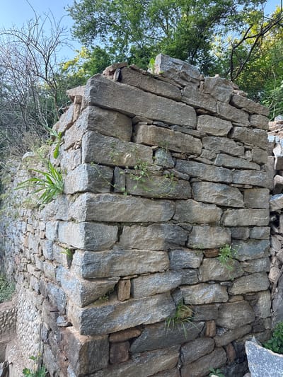 The image depicts a stone wall in Byal Izvor, Bulgaria. The wall is constructed of irregularly shaped, gray stones stacked vertically. Small plants and grass grow from crevices within the wall. The wall is partially shaded by trees in the background, with a glimpse of blue sky. A cobblestone path or area is visible near the base of the wall, and some bare branches of a tree are in the foreground.