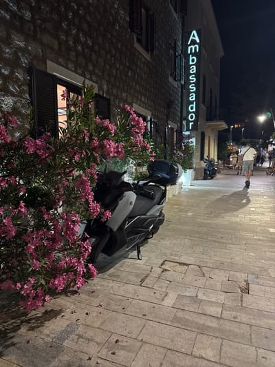In Medinski Krš, Montenegro, at night, a stone building facade is illuminated by ambient light, displaying an illuminated vertical sign reading "Ambassador." In the foreground, a dark-colored scooter is parked, partially obscured by a large bush with pink flowers. The walkway is paved with stone tiles, and fallen pink petals are scattered on the ground. Further down the walkway, a man is seen riding an electric scooter, casting a shadow on the pavement. Other individuals are visible in the distance, walking along the street, with streetlights illuminating the scene.
