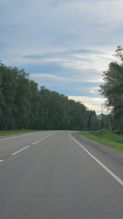 The image depicts an empty, asphalt road curving to the right, bordered by a dense forest of green trees on the left and a grassy shoulder with more trees on the right. The sky above is partly cloudy, with streaks of white and blue. A traffic sign is visible on the right side of the road, indicating "no overtaking." The road has white lane markings. The scene appears to be a rural or suburban area in Solnechnyy, Russia, likely during daylight hours with overcast conditions. There are no people or vehicles visible in the frame.