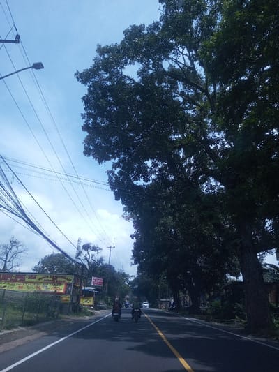 This image depicts a daytime scene on a paved road in the city of Chori, Nigeria. The sky, visible in the upper half of the frame, is light blue with scattered white clouds. Numerous overhead power lines and communication cables traverse the upper left, supported by utility poles. A grey street light fixture is mounted on a pole in the upper left.
The asphalt road, marked with a solid white line on its left edge and a solid yellow centerline, extends into the distance. Two motorcycles, each with a rider, are traveling away from the camera in the right lane. One motorcycle carries an additional passenger. A white car is visible further down the road, behind the motorcycles. Tree shadows are cast across the road surface.
The left side of the road features a low green fence or vegetation barrier. Behind this, several commercial signs are visible, including a large yellow banner with red and black text, partially readable as "BAKSO LAPANGAN" and "AYAM BAKAR," and a smaller red and white sign displaying "HOTEL." Another utility pole stands further back, and a cell tower or antenna structure is discernible in the mid-ground. Sparse-leaved trees are also present on the left.
The right side of the road is bordered by a row of tall, mature trees with dense, dark green foliage, casting deep shadows onto the road and roadside. The trunks of these trees appear thick and textured. Portions of structures or buildings are vaguely visible behind the trees in the distance on the right.