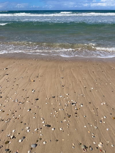 The image depicts a sandy beach with the ocean in the background. The sand is wet and shows ripples from the receding waves. Numerous seashells and small pebbles are scattered across the sand. The ocean water is a deep green, with white-capped waves breaking near the shore. The sky is partly cloudy, with patches of blue visible. There are no people or structures visible in the image, suggesting a natural beach environment. The lighting indicates it is daytime. This scene is characteristic of many Australian beaches.