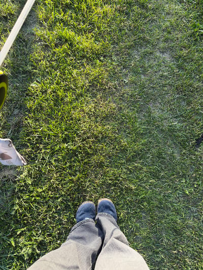 The image shows a top-down view of a person standing on a lawn in Lublin, Poland. The person is wearing dark blue shoes and grey pants. To the left of the frame, a leash or strap is visible, attached to a yellow and black object. A small piece of fabric with a brown and white pattern is also visible near the leash. The grass is green and appears to be well-maintained, with patches of sunlight and shadow. The ground is slightly uneven. The overall scene suggests an outdoor activity, possibly walking a dog or engaging in recreational pursuits.