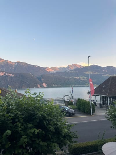 The image captures a serene view of Gersau, Switzerland, overlooking Lake Lucerne with a backdrop of imposing mountains. The time of day appears to be late afternoon or early evening, judging by the soft, golden light illuminating the mountain peaks.

In the foreground, lush green foliage partially obscures a portion of the scene, hinting at a garden or park setting. A street runs horizontally across the lower part of the image, with a black car parked on the left side. Adjacent to the street, a neatly manicured row of dark green evergreen trees lines the path leading towards the lake.

Further back, a building with a dark, tiled roof and white-trimmed windows is visible. A Swiss flag, predominantly red with a white cross, flutters on a pole in front of this building. The building's facade suggests it might be a restaurant or a tourist establishment, as a sign in German, "Seerundfahrten," meaning "lake cruises," is partially visible.

The middle ground is dominated by the tranquil waters of Lake Lucerne, reflecting the soft hues of the sky. A white boat is seen in the distance on the lake.

The background is defined by a majestic mountain range, its slopes covered in dense green forests, with rocky, bare summits. The mountains are bathed in a warm, rosy glow, indicating the setting sun. A faint crescent moon is visible in the pale blue sky above the mountains. A thin bridge can be seen spanning the lake in the distance, connecting two points across the water. The overall atmosphere is peaceful and picturesque.