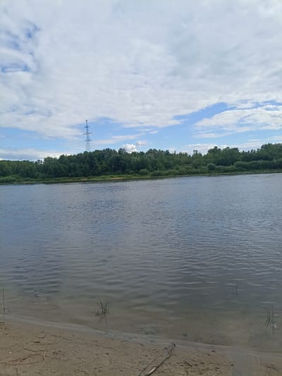 This media file captures a tranquil scene of a wide river under a partly cloudy sky. The foreground features a sandy bank with scattered dry twigs and a single green fishing rod protruding from the water. Emerging from the water near the bank are tufts of grass, their reflections visible on the calm surface.
The river itself occupies the majority of the frame, its dark, rippling water reflecting the sky and the lush green treeline on the opposite bank. This treeline, a dense expanse of various shades of green, stretches horizontally across the mid-ground of the image. Beyond the trees, a tall, lattice-like electrical pylon stands prominently against the sky, with several power lines extending from it.
The sky is a mix of blues and whites, with fluffy clouds drifting across, suggesting it's daytime, likely late morning or early afternoon, with fair weather. The overall mood is peaceful and serene, evoking a sense of quiet nature. The location context provided places this scene in the Chonkaŭski Sel'ski Savet in Belarus, a rural area with a significant river. No text is visible in the image.