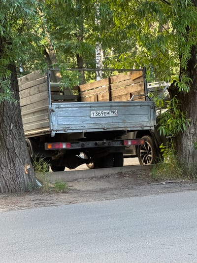 A parked, light-colored truck with wooden sides and a metal rear section is partially obscured by trees. The truck has a license plate that reads "T369EM 790". The vehicle is parked on a curb next to a paved road. Green foliage from surrounding trees creates shade over the scene. The ground is covered with dirt and sparse grass. The image appears to have been taken in a residential area in Bykovo, Russia.