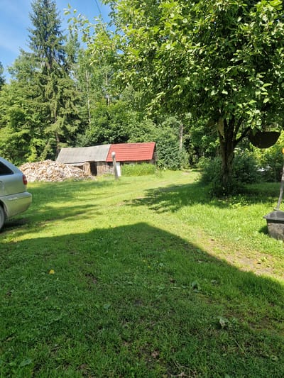 This is a daytime, eye-level, outdoor, full shot of a rural yard in Rikava, Latvia, during a sunny season. In the foreground, a patch of manicured green grass is partially shaded by trees, with a silver car visible on the left. The midground features two outbuildings with wooden siding and red tile roofs, one larger than the other, and a substantial pile of cut firewood next to the larger building. In the background, dense foliage and tall evergreen trees form a natural border around the property, with a clear blue sky above. A bare tree branch with a dark hanging object is in the right midground.