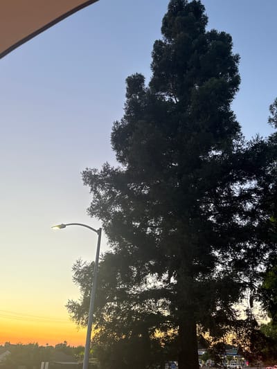 An outdoor, vertical, medium shot captures a tall, dark green coniferous tree silhouetted against a clear sky at dawn or dusk. The sky transitions from a pale blue at the top to a gradient of yellow and orange near the horizon. A street lamp with its light illuminated stands to the left of the tree, its pole visible. The background shows a tree line with hints of houses and buildings below, suggesting an urban or suburban setting. The image appears to be taken from a slightly elevated perspective, with a tan awning or overhang visible in the upper left corner. The location is North Highlands, United States.