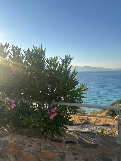 The image depicts a view from an elevated position overlooking the sea and a coastal road in Agios Nikolaos Municipal Unit, Greece. In the foreground, a stone wall forms the base of the scene, topped by a railing. Lush green foliage with pink flowers, possibly oleander, obscures part of the railing and the view beyond.

To the right of the foliage, the railing extends across the frame, with the turquoise sea visible in the middle ground. The sea is calm with gentle ripples, and in the distance, a hazy mountain range stretches across the horizon under a clear blue sky.

Below the railing and to the right of the foliage, a paved road runs parallel to the coastline. Two figures, appearing to be people walking, are visible on this road. The surrounding vegetation on the slope behind the road consists of dry, golden grasses and scattered trees. Sunlight beams through the foliage on the left, creating lens flare and casting shadows. The overall impression is one of a serene coastal landscape bathed in sunlight.