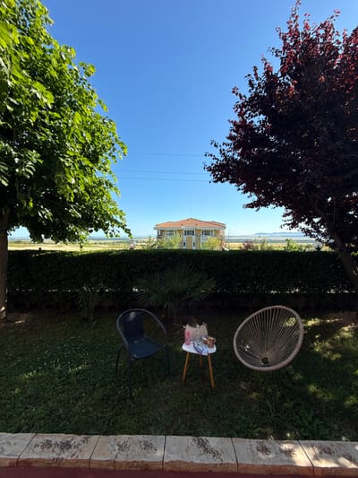 In the city of Kosharitsa, Bulgaria, a sun-drenched, outdoor seating area is depicted. Two chairs, one dark woven metal and the other a light-colored, circular, net-like design, are placed on a lush green lawn. Between them sits a small, light-colored, three-legged side table, holding a pink water bottle, a white bag, a mug with a pattern, and what appears to be a pair of sunglasses. The scene is framed by two trees, one with vibrant green foliage on the left and another with dark reddish-purple leaves on the right. Beyond the manicured hedge that forms the backdrop, a yellow building with a terracotta-tiled roof is visible, set against a backdrop of fields and distant hills under a clear blue sky. The ground in the foreground is a raised edge of textured, light-colored stone, with a darker reddish-brown surface below.