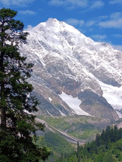 The image depicts a majestic snow-capped mountain range under a bright blue sky dotted with white clouds. In the foreground, a large evergreen tree with dark green foliage stands prominently on the left side of the frame. The mountain's slopes are a mix of snow, grey rock, and patches of green vegetation lower down. The terrain appears rugged and natural. The scene is likely located in Dhundi, India, a region known for its breathtaking Himalayan landscapes. There are no visible people or man-made structures in the immediate foreground or on the mountain itself, suggesting a remote and pristine natural environment.