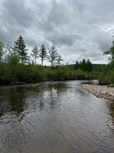 A wide, slow-moving river flows through a wooded area under a cloudy sky. The river's surface is rippled, reflecting the overcast sky and the surrounding greenery. The riverbanks are densely covered with lush green trees and bushes. On the right side of the river, a collection of rounded rocks forms a small embankment. The sky is filled with heavy, grey clouds, suggesting an impending rain or a generally overcast day. The scene is serene and natural, typical of a remote, forested landscape. The location is Murtygit, Russia.