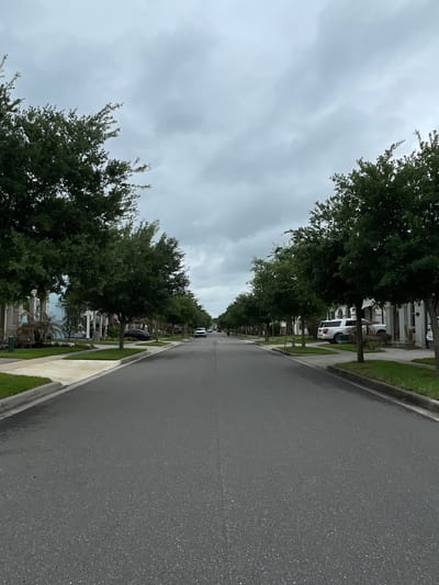 The image depicts a residential street in Windermere, United States, under an overcast sky. The street is lined with trees on both sides, casting shadows on the road and sidewalks. Houses are visible behind the trees, with architectural details like columns and white exteriors. A few vehicles are parked along the curb. The asphalt road appears wet, reflecting the ambient light. The overall scene suggests a quiet, affluent neighborhood on a cloudy day.
