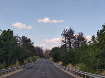 A scenic, empty asphalt road winds through a forested area, presumably Krushovitsa, Bulgaria. The road is bordered by metal guardrails and sparse vegetation on either side. To the left of the road, dense green trees are visible, while the right side features a mix of green foliage and some burnt trees, suggesting a past wildfire. Further down the road, a lone red car is seen approaching, its headlights illuminated. The sky is a clear, pale blue with scattered white cumulus clouds. The time of day appears to be late afternoon or early evening, judging by the soft lighting and the color of the sky. There is no visible text in the image. The overall impression is one of a serene and somewhat stark landscape, with the encroaching vegetation and the remnants of a fire creating a unique visual contrast.