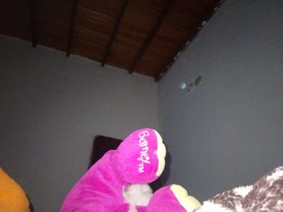 In Atamo Sur, Venezuela, a low-angle shot captures a partially visible stuffed toy, identified by the name "Barney™" embroidered in white on its purple fabric. The toy's foot and part of its leg are in focus in the foreground. The background consists of a plain, gray wall that extends to the ceiling, which is constructed of dark wooden planks. The lighting suggests it may be nighttime or an indoor environment with minimal illumination.