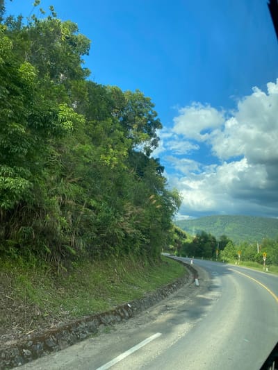 The image depicts a winding asphalt road curving through a lush, mountainous landscape. On the left side of the road, a steep incline is covered with dense green vegetation, including trees and various grasses. The road itself has a yellow line marking the center and white lines on the shoulder. Several road markers, including yellow directional signs and white posts with red tops, are visible along the roadside. In the background, rolling green hills covered in trees stretch towards the horizon. The sky is a bright blue with scattered white clouds. The scene appears to be a rural area, possibly in Thôn 18, Vietnam, given the context, characterized by its natural beauty and the presence of a well-maintained road. There are no people visible in the image.