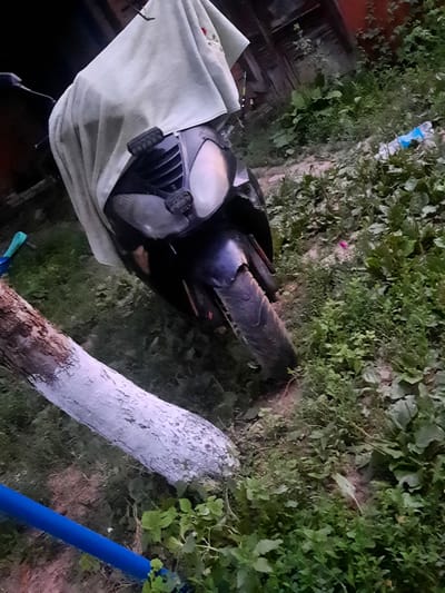 The image shows a dark-colored motorcycle covered by a light-colored cloth. The motorcycle is positioned on uneven, grassy ground with some dirt patches and scattered leaves. A section of a tree trunk, painted white, is visible in the foreground, running diagonally across the frame. A blue cylindrical object is also present in the lower left corner. In the background, there are indications of structures and more dense vegetation. The scene appears to be outdoors, possibly in a yard or a less-maintained area. The lighting suggests it might be dusk or a dimly lit environment. There are no people visible in the image. The location is Kiblych, Ukraine.