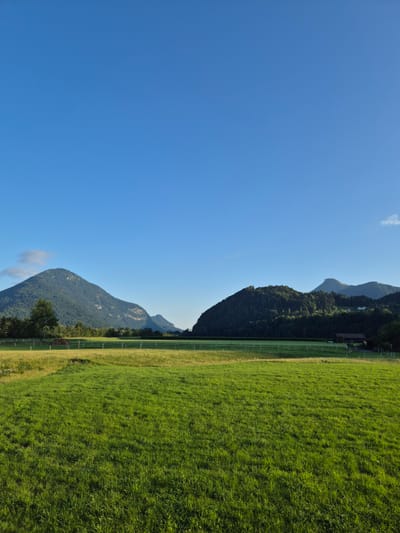 A landscape photograph captures a rural scene in Niederndorf, Austria, under a clear blue sky. The foreground is dominated by a vibrant green grassy field, its texture detailed and rich. Beyond the field, a white fence delineates a pathway or enclosure, with another field of drier, golden grass behind it. In the middle ground, a dark line of trees stretches across the horizon, providing a stark contrast to the open fields.
Further back, a series of rolling hills and mountains rise, their slopes covered in dense green forests. The largest mountain, on the left, is conical and imposing, its peak partially obscured by a wispy white cloud. On the right, a darker, more rugged mountain range recedes into the distance, with a hint of a village or settlement nestled within its foothills. Two small buildings, possibly farmhouses or sheds, are visible in the middle ground, one to the left and another to the right, near the treeline. The overall impression is one of serene, natural beauty.