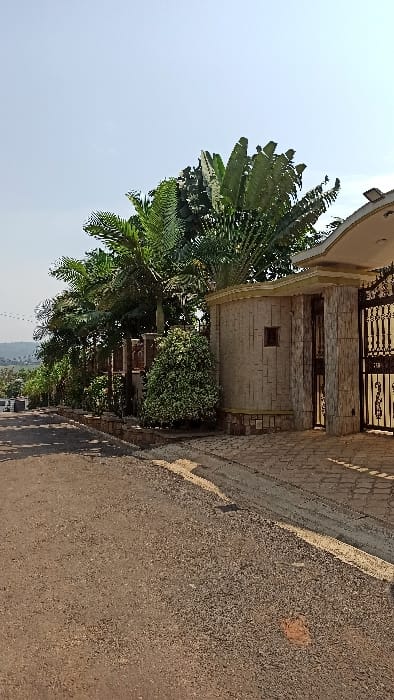 The image depicts a residential street scene in Kigali City, Rwanda, under a clear, bright sky. In the foreground, a reddish-brown dirt and gravel road slopes gently downward from left to right. To the right, a paved driveway entrance, constructed of interlocking light brown pavers, extends from the road towards a property entrance. A narrow concrete gutter separates the dirt road from the paved area.
The property entrance features a decorative metal gate, primarily black with intricate scrollwork, set into a robust architectural structure. To the left of the gate, a rectangular stone-clad pillar or guardhouse stands, topped with a light-colored, curved overhang. This structure has textured, light brown stone or tile cladding and features a small, rectangular recessed opening at mid-height. To its left, a dense, variegated green and white bush is visible.
Along the property line, a variety of mature tropical vegetation is present, including several tall palm trees and large-leafed trees resembling Traveler's Palms (Ravenala madagascariensis), all contributing to a lush green canopy. Further left along the road, more greenery and what appear to be retaining walls or low fences line the street. In the distant background to the left, rolling hills are visible, suggesting an elevated vantage point common in Kigali. No individuals or active vehicles are visible in the frame.