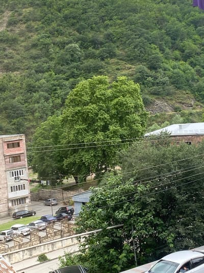 The image shows a hillside covered in dense green trees, with a rocky slope visible in the upper left. In the foreground, there is a building with brick and light-colored sections, featuring multiple windows. A street runs alongside the building, with several cars parked or driving. The cars appear to be a mix of black, white, and blue. Overhead, there are numerous power lines crisscrossing the scene. To the right, a portion of a white car is visible. The overall impression is an outdoor scene, likely in a semi-urban or suburban area with a significant natural backdrop. The lighting suggests it could be daytime, with some shadows present but no distinct indications of sunrise or sunset. The lush greenery implies a warm season, possibly summer or late spring. The setting, with the mix of buildings, cars, and natural terrain, is consistent with a location in Kapan, Armenia. No specific activity or event is clearly depicted, other than the general presence of vehicular traffic and stationary vehicles. There is no visible text in the image.